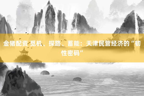 金猪配资 觅机、探路、蓄能：天津民营经济的“韧性密码”