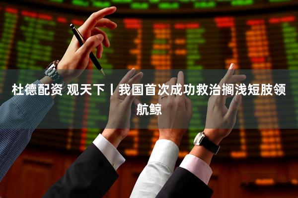 杜德配资 观天下丨我国首次成功救治搁浅短肢领航鲸