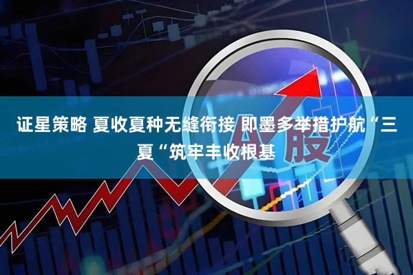 证星策略 夏收夏种无缝衔接 即墨多举措护航“三夏“筑牢丰收根基