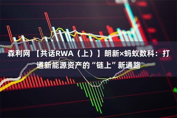 森利网 【共话RWA（上）】朗新×蚂蚁数科：打通新能源资产的“链上”新通路