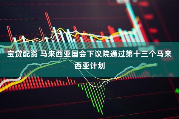 宝贷配资 马来西亚国会下议院通过第十三个马来西亚计划