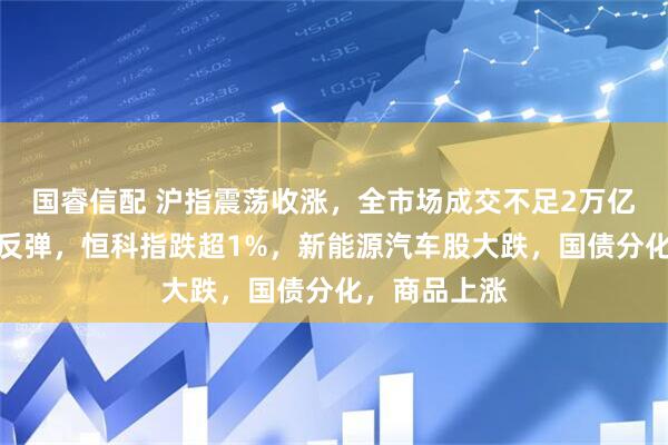国睿信配 沪指震荡收涨，全市场成交不足2万亿，红利资产反弹，恒科指跌超1%，新能源汽车股大跌，国债分化，商品上涨